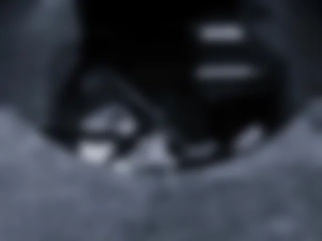 monellaincam